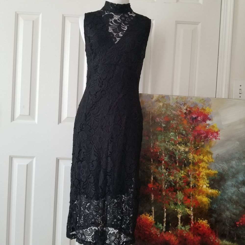 Enfocus Studio Lace Mesh Dress 8
